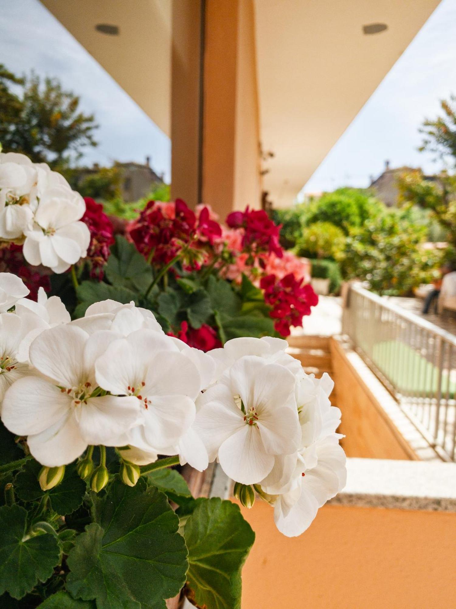 Hotel Donatella โปซาดา ภายนอก รูปภาพ